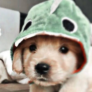 Meet your Posher, Zoe